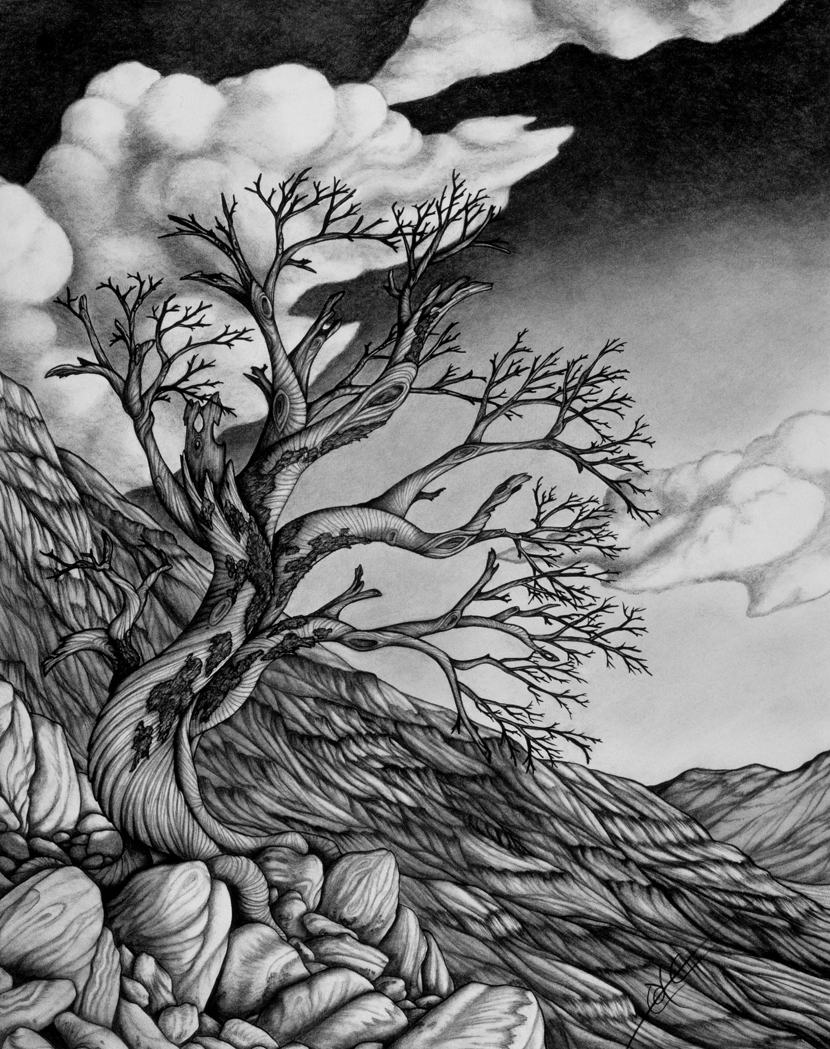 171550_10150127890929328_4142261_o