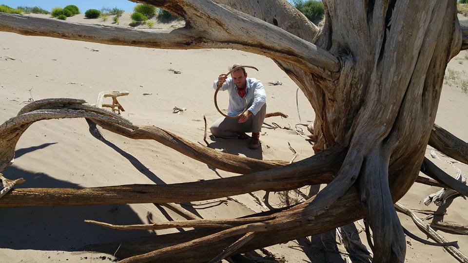 20952997_10155589328734328_6472076758548006495_n