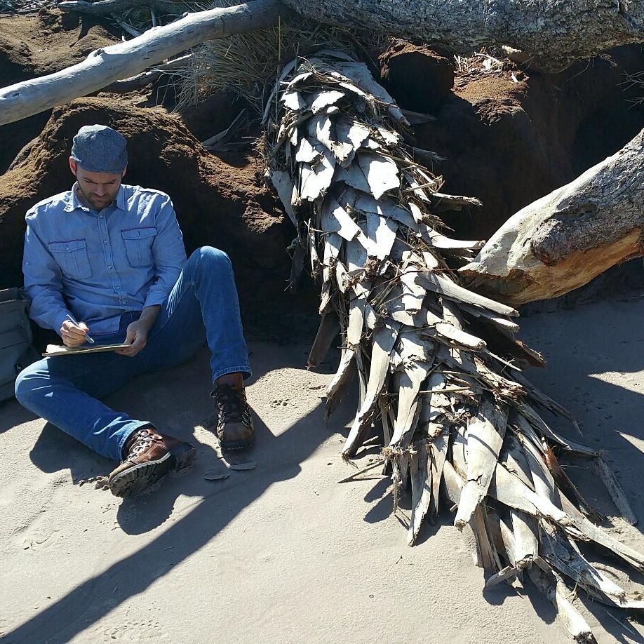 27541012_10156067743379328_7605957398295504423_n