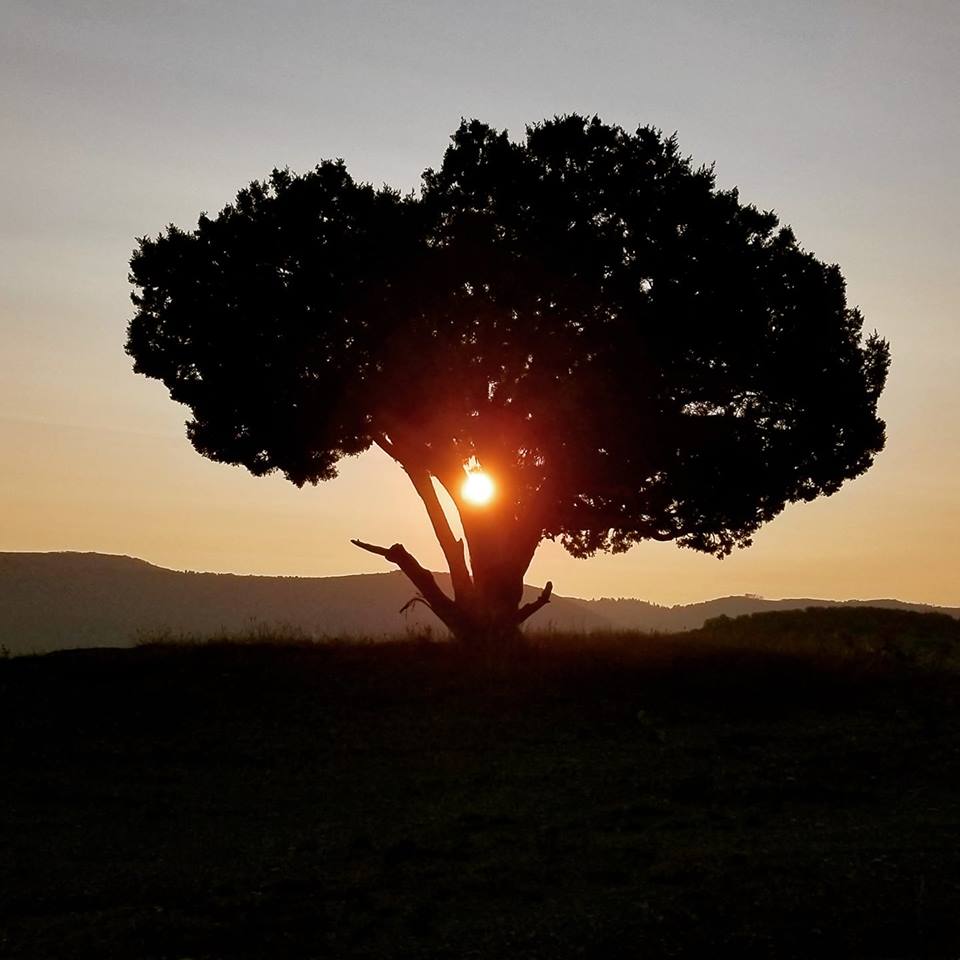 39515061_10156581271414328_8410030880260620288_n