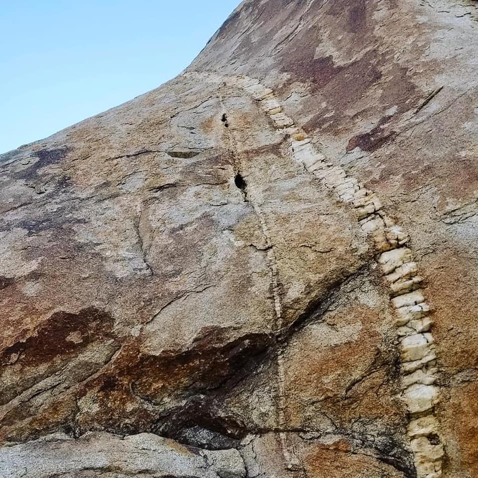 40624306_10156617612364328_2871715159598956544_n