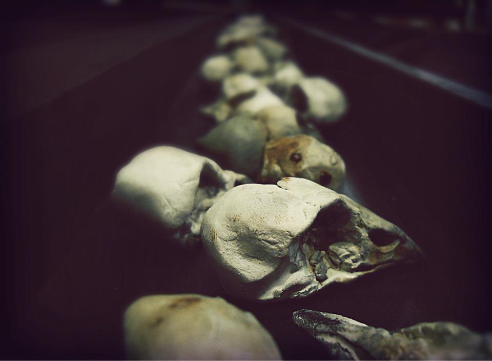 Ceramics for Desert Wake