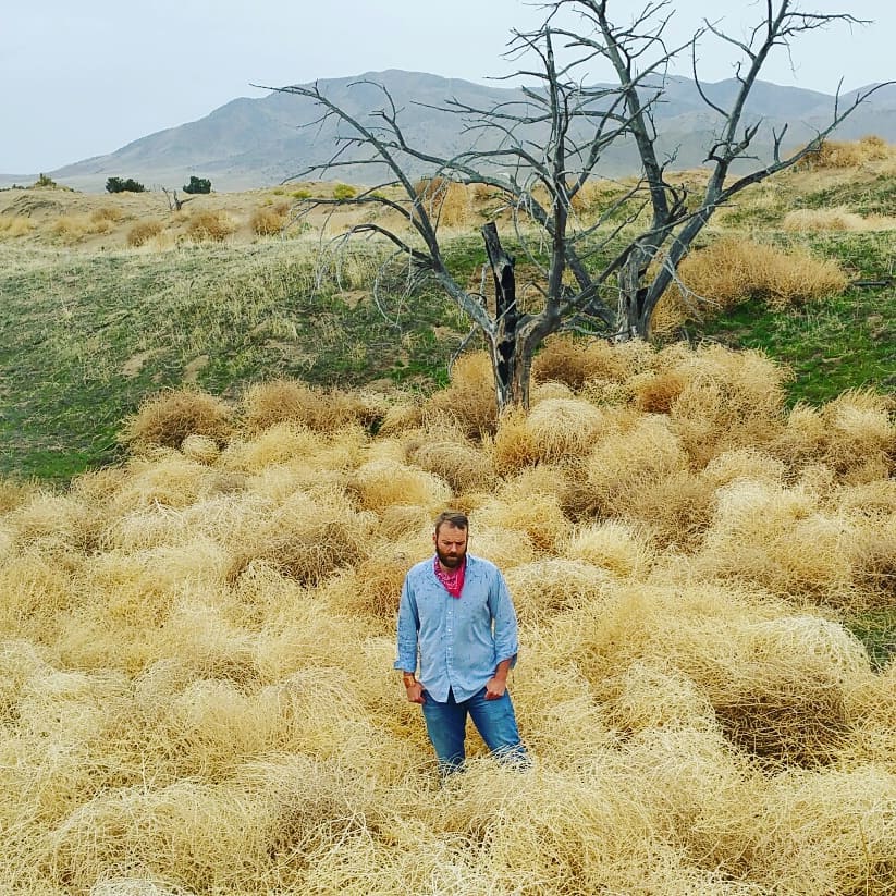 Tumbleweeds
