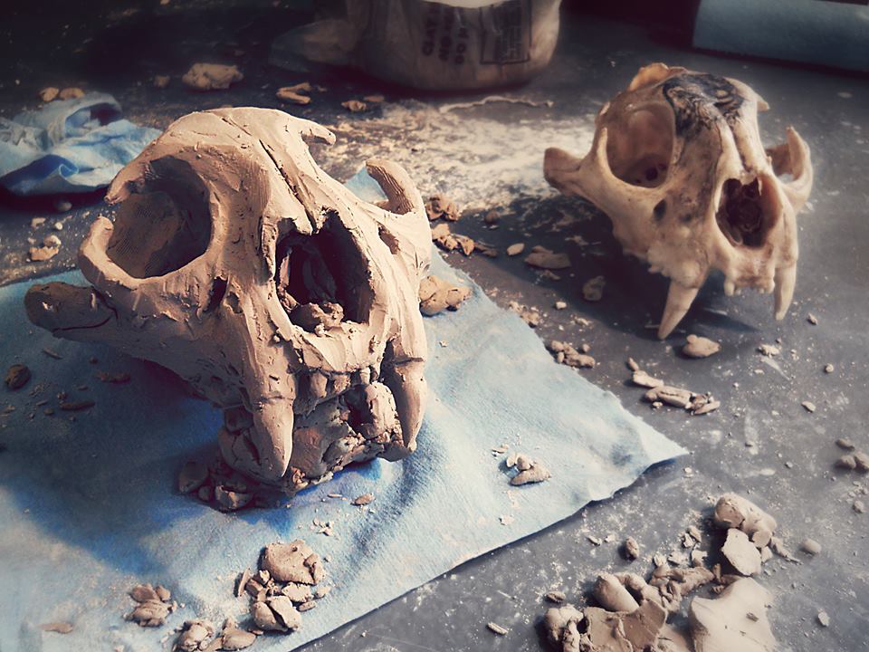 Mountain Lion Skull Cermanics