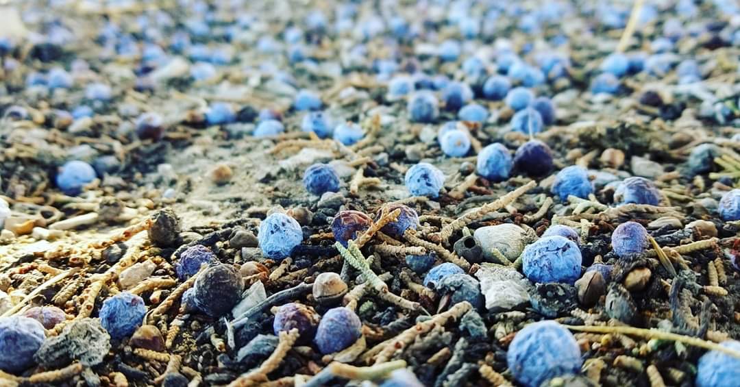 3C9C4BBC-9712-4827-960F-6A91764944FC