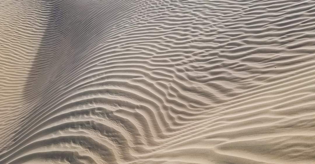 5F6A0A58-F5D9-45A1-A5CA-29235BE816A2