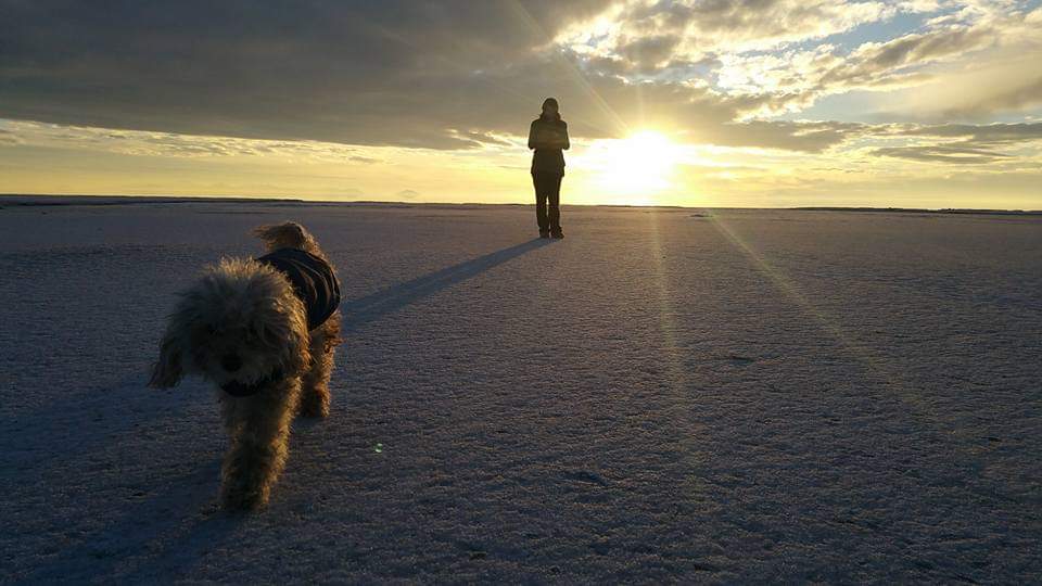 6EA69826-EA2D-4713-B47D-D7722A362BA6