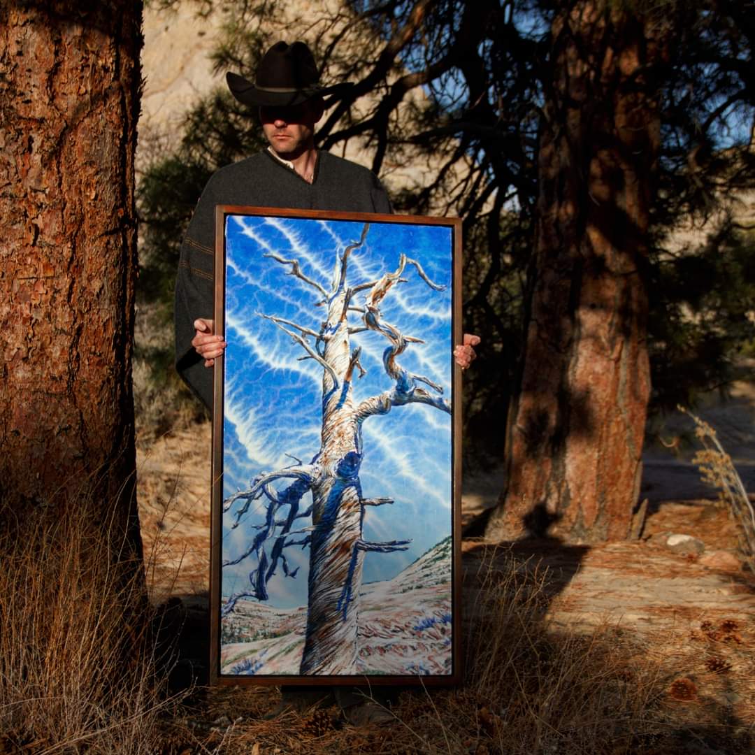 Boulder Mountain Ponderosa