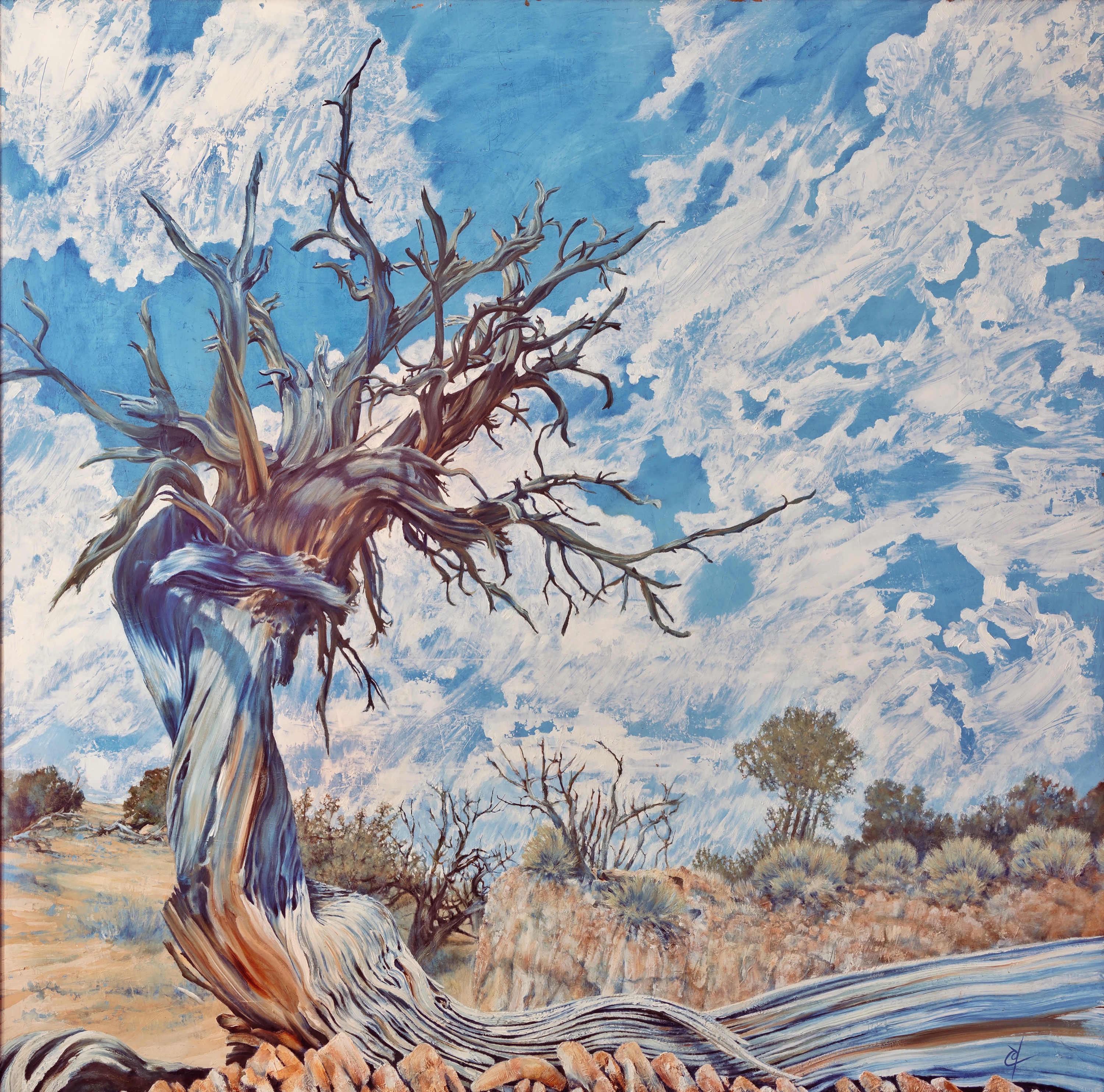Rockwell Ranch Juniper, an oil on linen painting of a juniper in the desert.